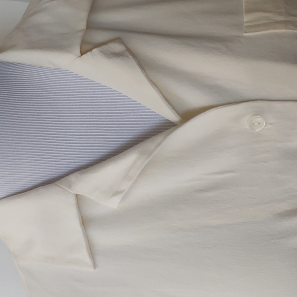 Silk short sleeves blouse - Picture 2 of 5